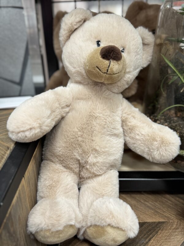 Ourson en peluche
