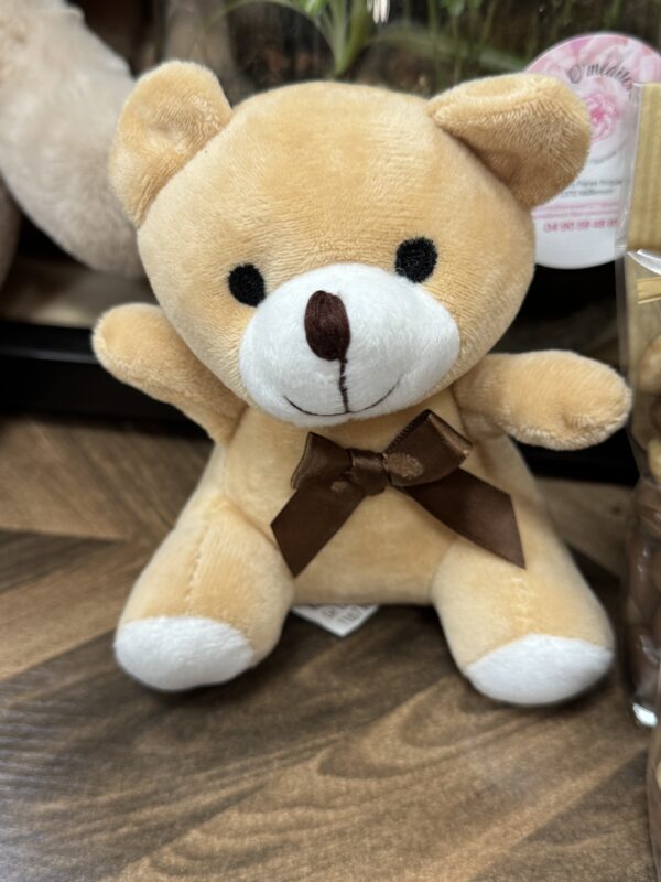 Petit Ourson